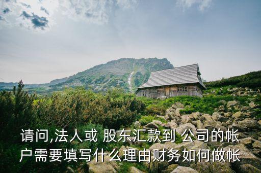 請問,法人或 股東匯款到 公司的帳戶需要填寫什么理由財務如何做帳