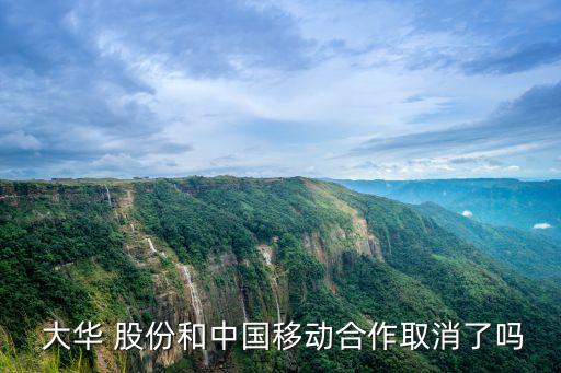  大華 股份和中國(guó)移動(dòng)合作取消了嗎