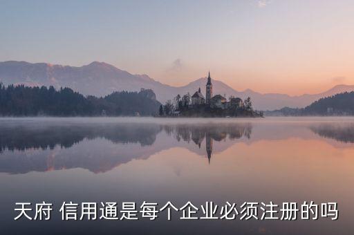 中國信用平臺(tái)上線儀式,某景區(qū)準(zhǔn)備上線一個(gè)信用平臺(tái)