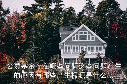  公募基金存在哪些問(wèn)題這些問(wèn)題產(chǎn)生的原因有哪些產(chǎn)生根源是什么...