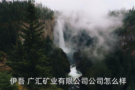  伊吾 廣匯礦業(yè)有限公司公司怎么樣