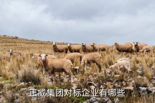 正威集團(tuán)對標(biāo)企業(yè)有哪些