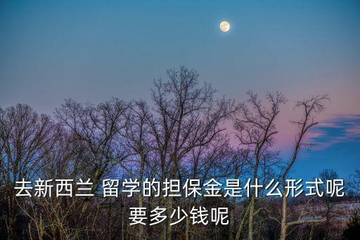 去新西蘭 留學(xué)的擔(dān)保金是什么形式呢要多少錢呢