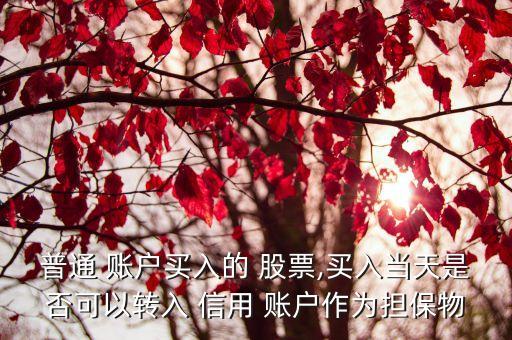 普通 賬戶買入的 股票,買入當天是否可以轉入 信用 賬戶作為擔保物