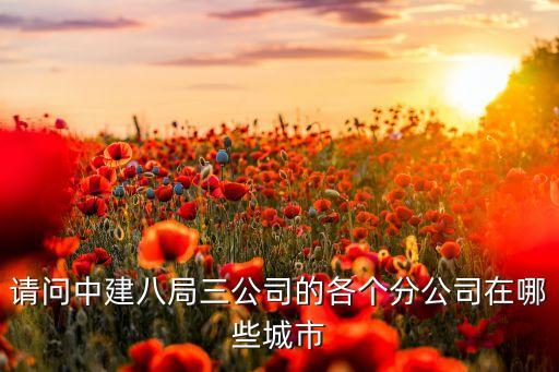 請問中建八局三公司的各個分公司在哪些城市