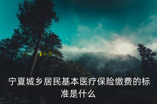  寧夏城鄉(xiāng)居民基本醫(yī)療保險繳費的標準是什么