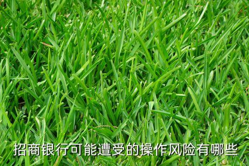 招商銀行可能遭受的操作風(fēng)險(xiǎn)有哪些