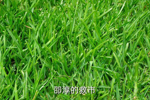 福耀玻璃左敏的股票