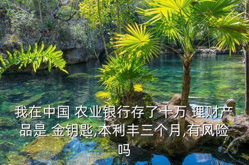 我在中國 農(nóng)業(yè)銀行存了十萬 理財產(chǎn)品是 金鑰匙,本利豐三個月,有風險嗎