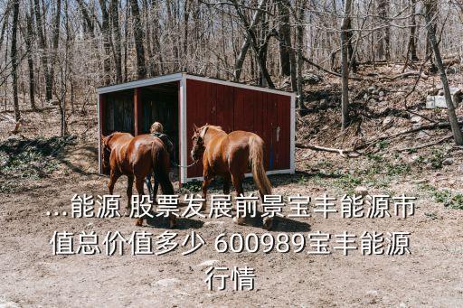 ...能源 股票發(fā)展前景寶豐能源市值總價值多少 600989寶豐能源行情