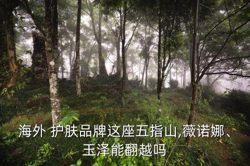 海外 護(hù)膚品牌這座五指山,薇諾娜、玉澤能翻越嗎