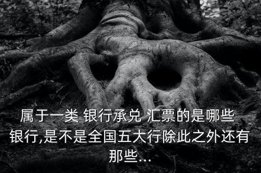 屬于一類 銀行承兌 匯票的是哪些 銀行,是不是全國(guó)五大行除此之外還有那些...