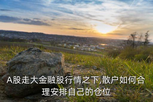 A股走大金融股行情之下,散戶(hù)如何合理安排自己的倉(cāng)位