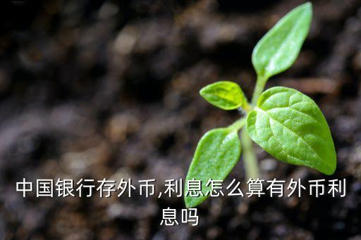 在中國(guó)存美元
