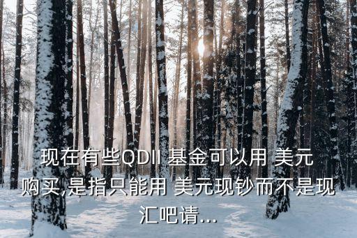 現(xiàn)在有些QDII 基金可以用 美元購(gòu)買,是指只能用 美元現(xiàn)鈔而不是現(xiàn)匯吧請(qǐng)...