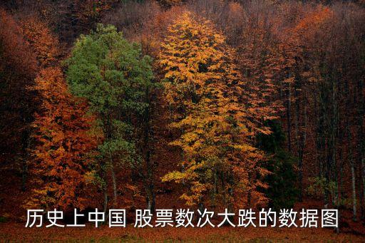 歷史上中國 股票數(shù)次大跌的數(shù)據(jù)圖