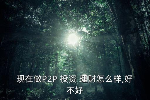 現(xiàn)在做P2P 投資 理財怎么樣,好不好