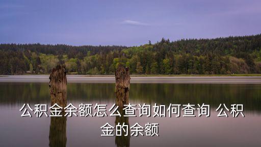 股票公積金怎么查看,股票的公積金與凈資產(chǎn)的關系