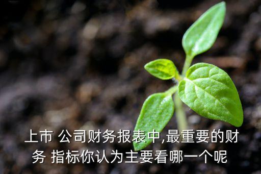  上市 公司財(cái)務(wù)報(bào)表中,最重要的財(cái)務(wù) 指標(biāo)你認(rèn)為主要看哪一個(gè)呢