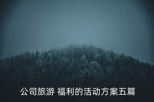  公司旅游 福利的活動方案五篇