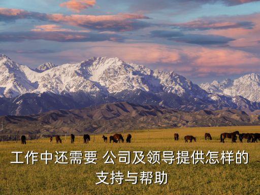 工作中還需要 公司及領(lǐng)導(dǎo)提供怎樣的 支持與幫助