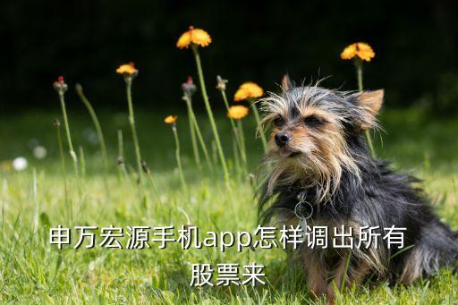  申萬宏源手機(jī)app怎樣調(diào)出所有 股票來