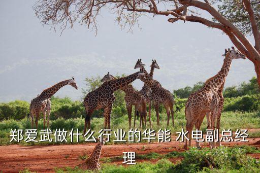鄭愛(ài)武做什么行業(yè)的華能 水電副總經(jīng)理
