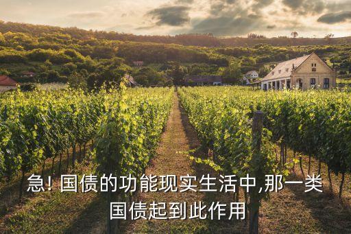 急! 國債的功能現(xiàn)實生活中,那一類 國債起到此作用