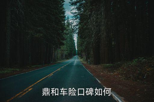 鼎和車險(xiǎn)口碑如何