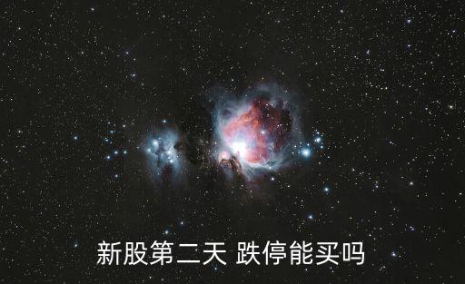 新股第二天 跌停能買嗎