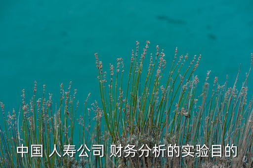 中國人壽財(cái)務(wù)