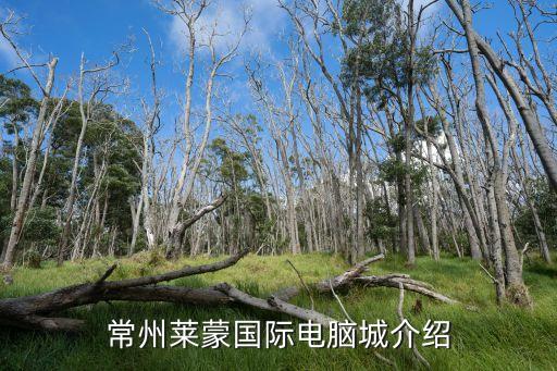 常州萊蒙國際電腦城介紹