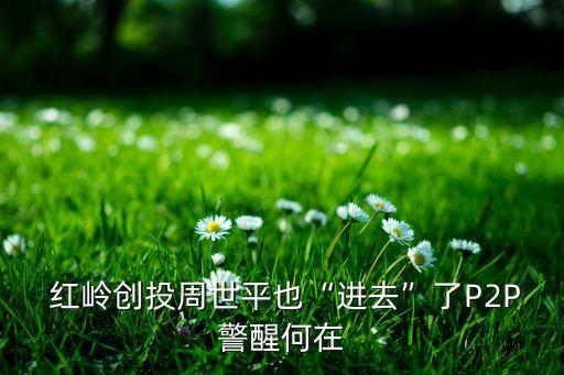  紅嶺創(chuàng)投周世平也“進(jìn)去”了P2P警醒何在