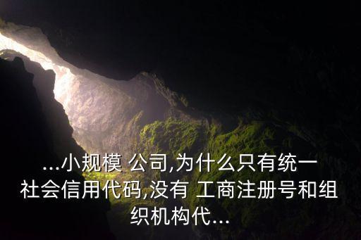 ...小規(guī)模 公司,為什么只有統(tǒng)一社會信用代碼,沒有 工商注冊號和組織機(jī)構(gòu)代...