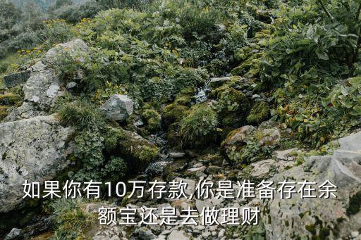 如果你有10萬存款,你是準(zhǔn)備存在余額寶還是去做理財