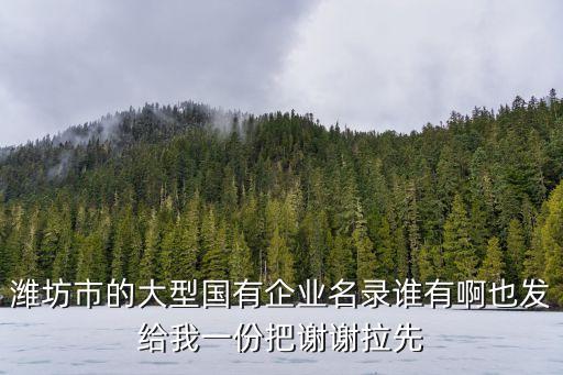 濰坊市的大型國(guó)有企業(yè)名錄誰有啊也發(fā)給我一份把謝謝拉先