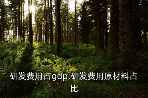 中國(guó)研發(fā)費(fèi)用占gdp,研發(fā)費(fèi)用原材料占比
