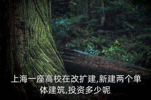  上海一座高校在改擴建,新建兩個單體建筑,投資多少呢