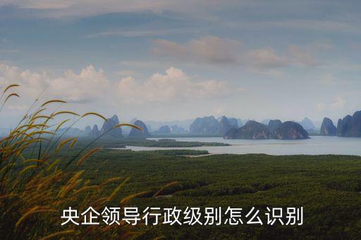 中國(guó)副部級(jí)央企,哪些企業(yè)是央企