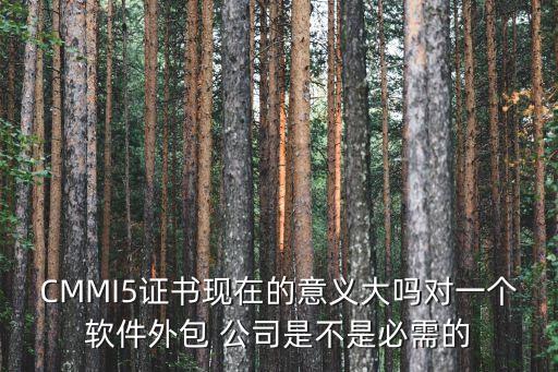 CMMI5證書現(xiàn)在的意義大嗎對一個軟件外包 公司是不是必需的