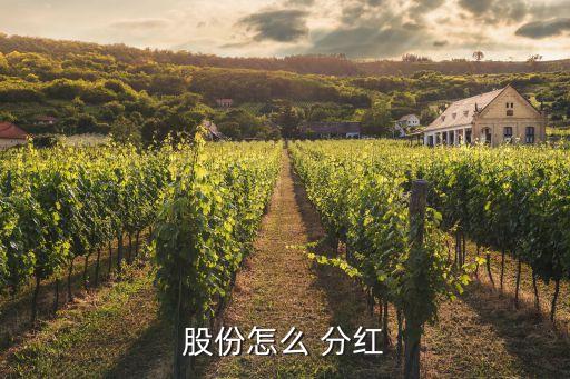 股份怎么 分紅
