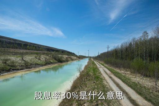 股息率30%是什么意思