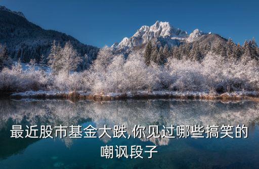 最近股市基金大跌,你見過(guò)哪些搞笑的嘲諷段子