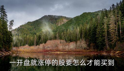 股票一字板買(mǎi)入技巧,怎么買(mǎi)入第二天一字板的股票
