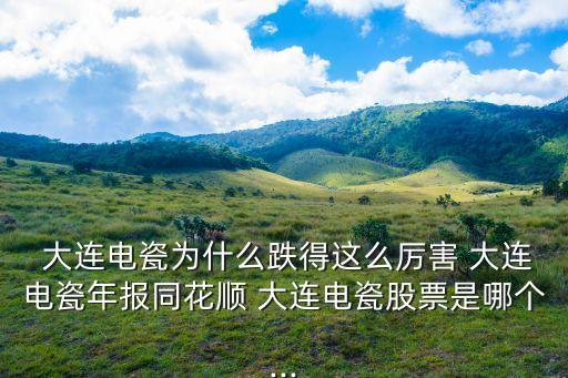 大連昊?？萍脊煞萦邢薰?大連華陽(yáng)新材料科技股份有限公司