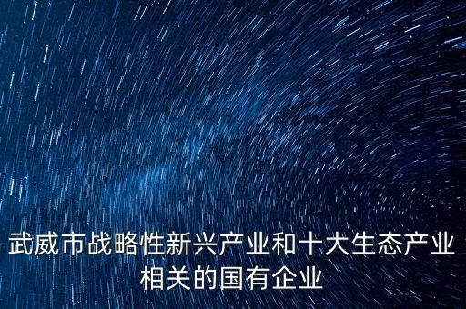 武威市戰(zhàn)略性新興產(chǎn)業(yè)和十大生態(tài)產(chǎn)業(yè)相關(guān)的國有企業(yè)