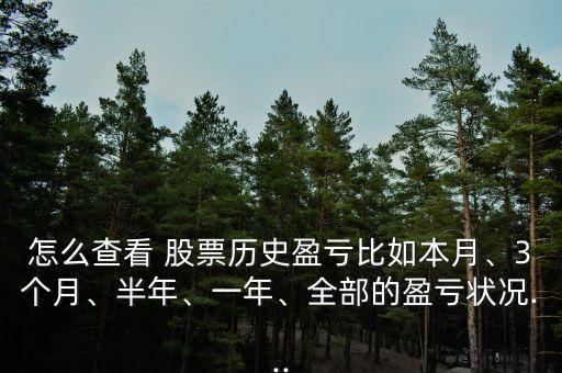 如何查詢(xún)上一年的股票資金
