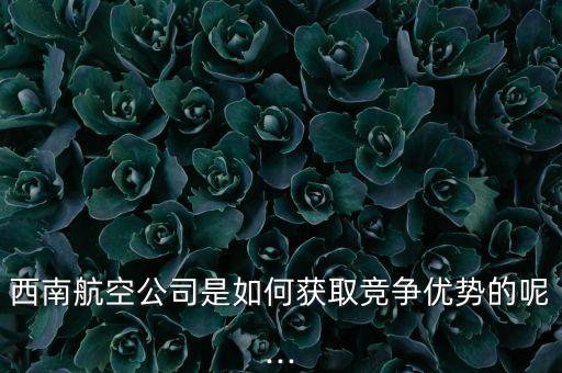 西南航空公司是如何獲取競爭優(yōu)勢的呢···