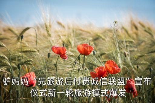 驢媽媽“先旅游后付費(fèi)誠(chéng)信聯(lián)盟”宣布 儀式新一輪旅游模式爆發(fā)