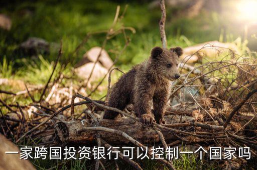 一家跨國投資銀行可以控制一個國家嗎